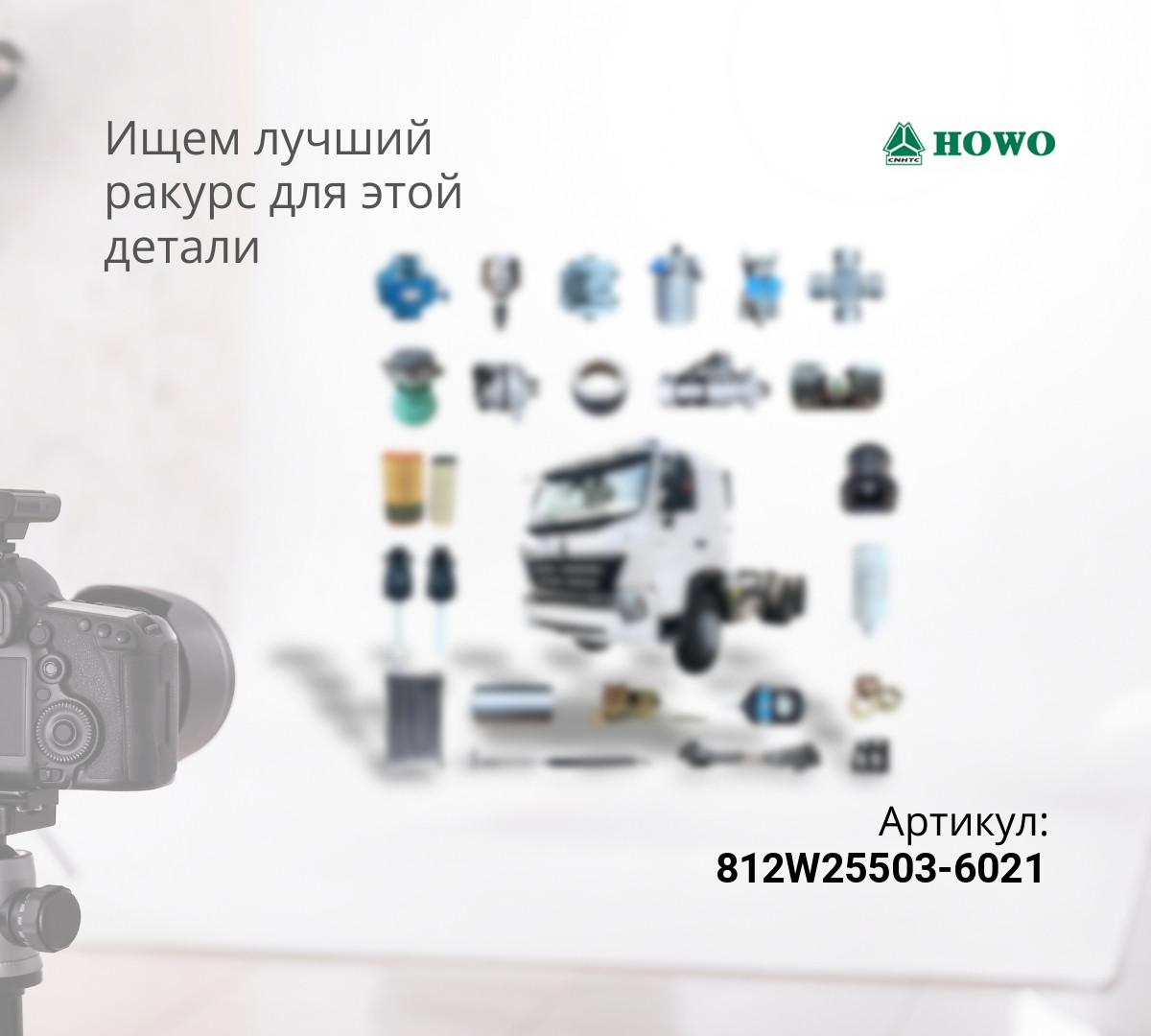 Клавиша включ. блокировки межосевого диффер. T5G/Sitrak